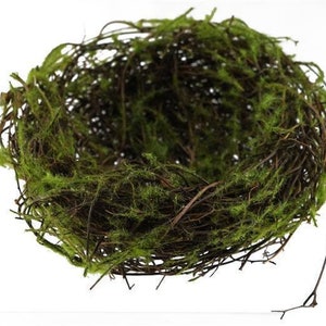 May include: A brown twig nest with green moss lining the inside. The nest is a natural, rustic, and decorative item.