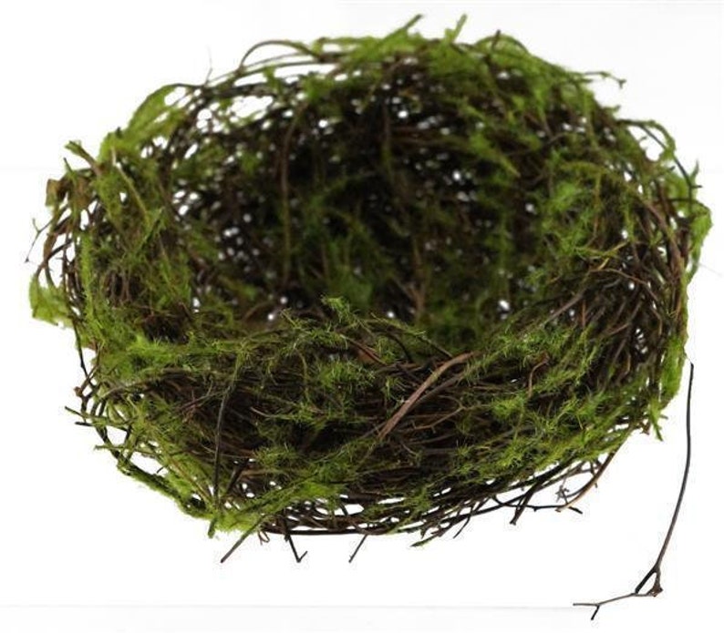 May include: A brown twig nest with green moss lining the inside. The nest is a natural, rustic, and decorative item.