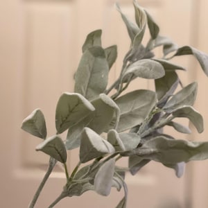 May include: A bunch of faux lamb's ear stems with soft, fuzzy, light green leaves.