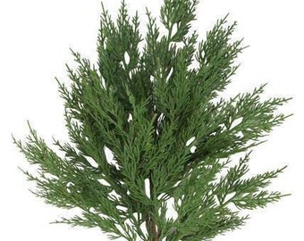 28" Artificial Cedar Spray. Tall Cedar Stem, Faux Christmas Greenery, Winter Greenery, Holiday Home Decor, Vase Filler, Pot Filler