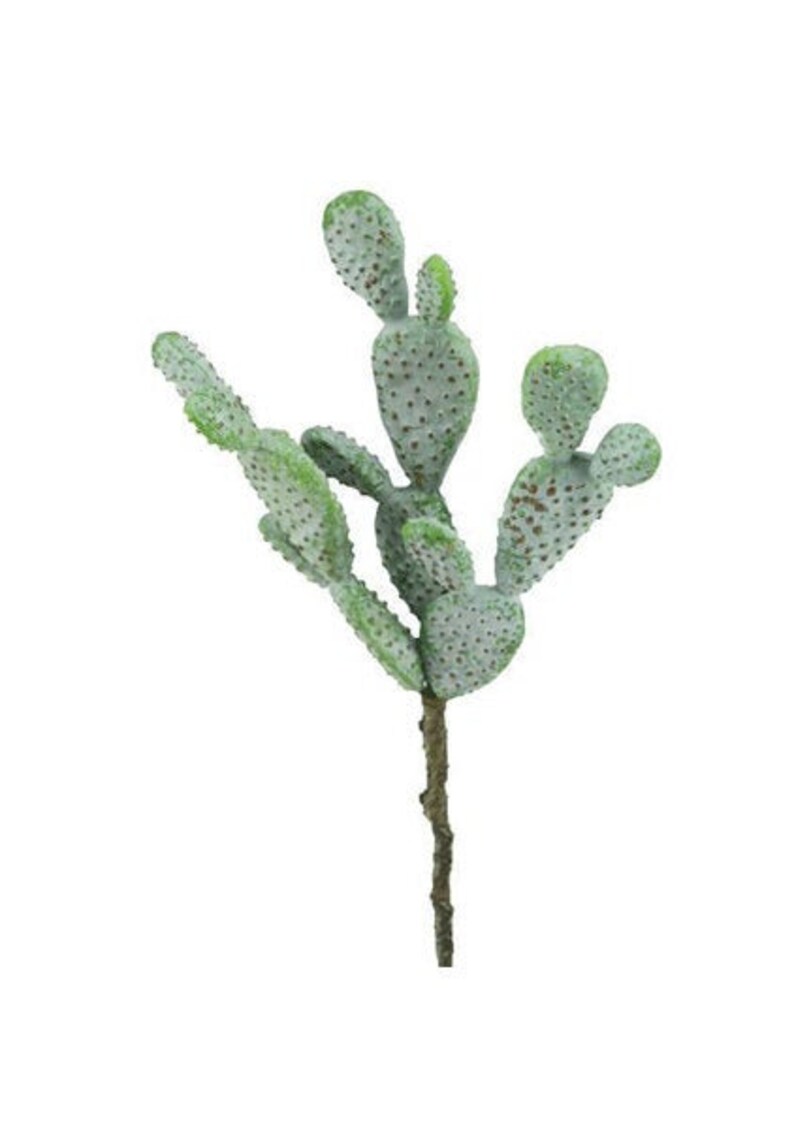 9 Artificial Cactus Stem/pick/plantfake Cactusfaux Etsy