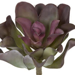 8.75&quot; Faux Burgundy and Green Frosted Echeveria Pick, Succulent Pick on Stem