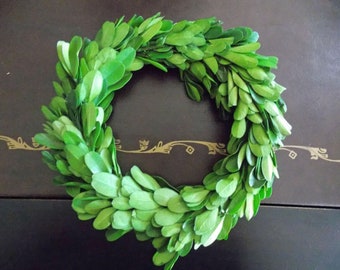 6" 8" or 10" Small Real Preserved Boxwood Wreath, Candle Ring