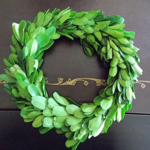 6" 8" or 10" Small Real Preserved Boxwood Wreath, Candle Ring