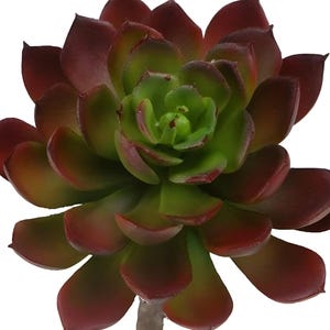 7&quot; Artificial Succulent Pick/Stem/Flower/Plant in Burgundy/Green-Faux Succulent-Fake Succulent-Floral Supply