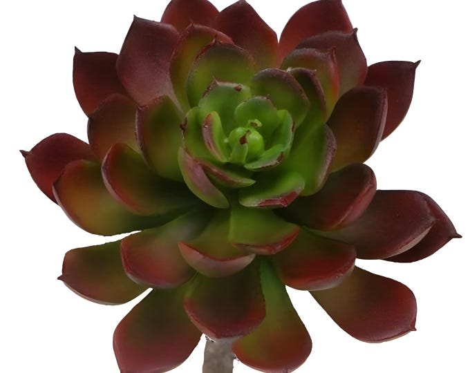 7" Artificial Succulent Pick/Stem/Flower/Plant in Burgundy/Green-Faux Succulent-Fake Succulent-Floral Supply