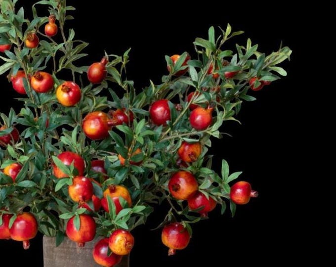 Tall Faux Pomegranate Fruit Branch Stems - 32"
