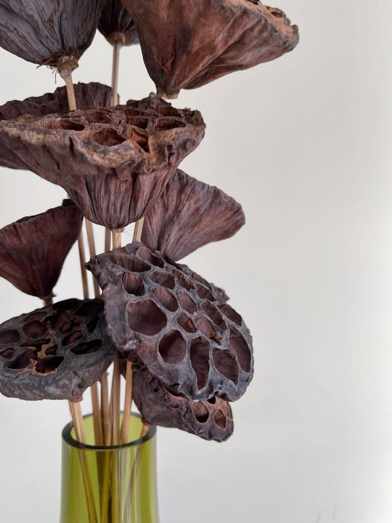May include: A bouquet of dried lotus pods in a green glass vase. The pods are brown and have a honeycomb-like texture.