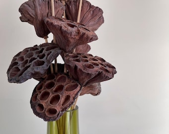 Dried Natural Lotus Pods on Stem, Vase Filler, Wreath Filler, Woodland Floral Decor, Wreath Supply, Floral Supply