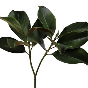 28&quot; Artificial Magnolia Leaf Stems, Magnolia Leaf Spray, Farmhouse Greenery, Vase Filler, Floral Supply