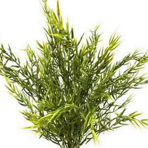 15" Artificial Fake Faux Dill Plant/Bush/Spray-Kitchen Herbs-Kitchen Greenery-Dill Decor-Wreath Greenery-Floral Supply