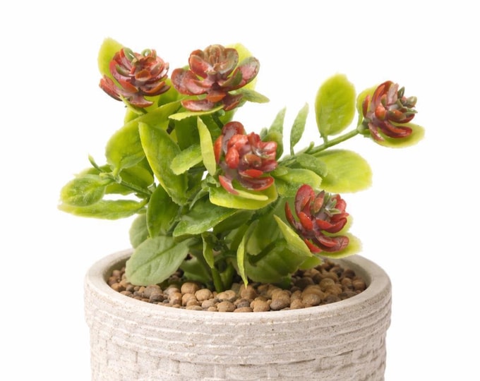 Faux Flowering Succulent Pick, Artificial Plant - 8.25"