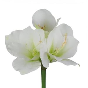 Faux White Amaryllis Flower Stem – Silk Amaryllis for Holiday Decor, Winter Wedding Bouquet, Faux Floral Arrangement, Christmas Centerpiece