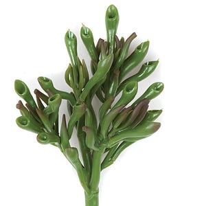 7&quot; Artificial Cactus Succulent Stem Hatiora Plant, Faux Dancing Bones Cactus - Real Touch Foliage