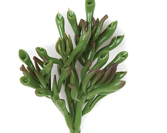 7" Artificial Cactus Succulent Stem Hatiora Plant, Faux Dancing Bones Cactus - Real Touch Foliage