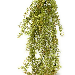 May include: A long strand of artificial greenery with small, light green leaves. The leaves are clustered together on thin, flexible stems, creating a cascading effect.