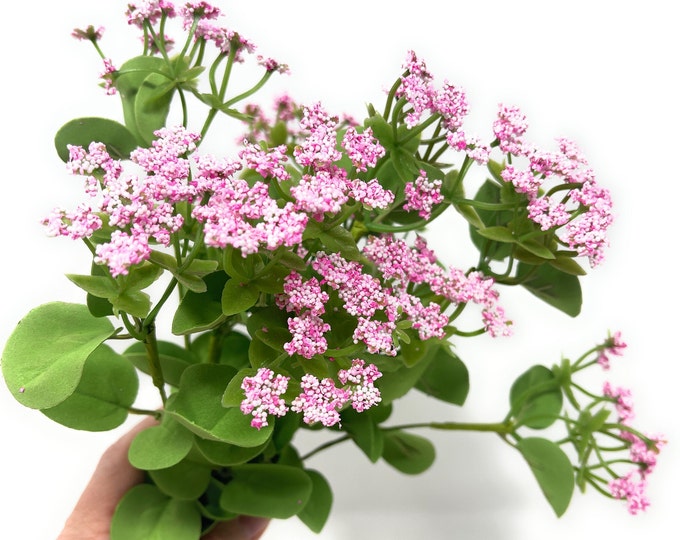 11" Artificial Heather Bush on Stem in Pink