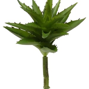 May include: A single artificial succulent plant with green leaves and a brown stem. The plant is about 12 inches tall.