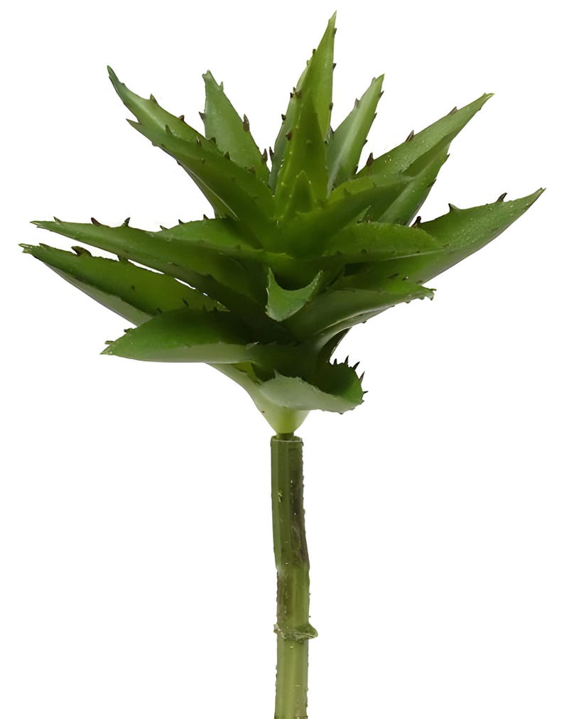 May include: A single artificial succulent plant with green leaves and a brown stem. The plant is about 12 inches tall.