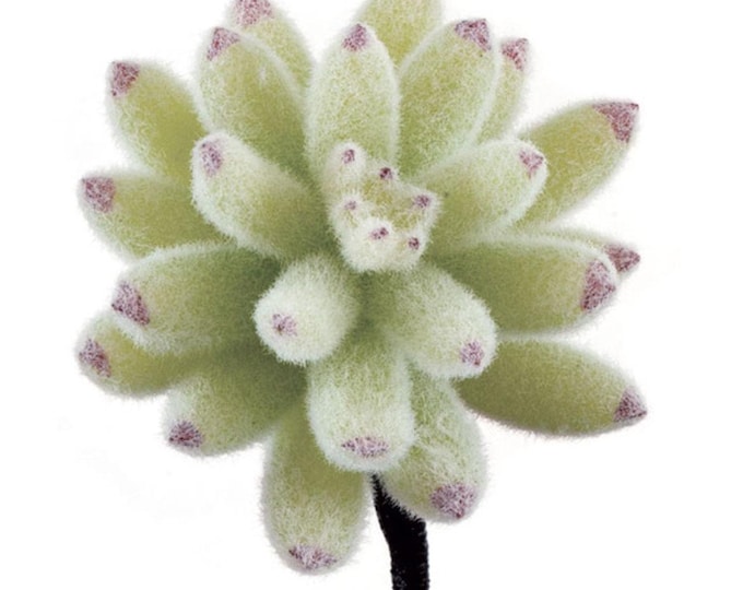 4" Faux Succulent, Artificial Flocked Agave Succulent Stem
