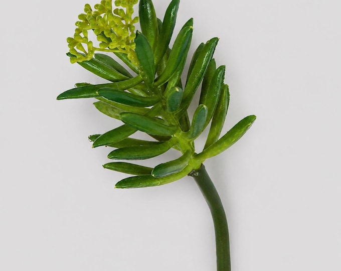 Faux Aeonium, Artificial Succulent Stem - 11"