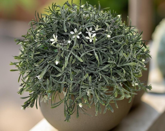 10" Wildflower Floral Half Sphere, Periwinkle Half Ball - Choose Flower Color