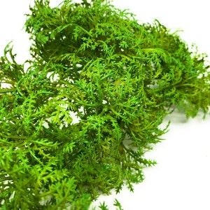 11 Artificial Lichen Moss/faux Moss/fake Moss Pick in Light Green ...