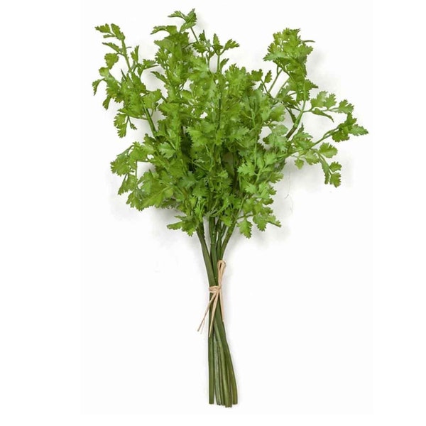 16" Artificial Faux Cilantro Plant Bundle-Artificial Herbs-Herb Plants-Kitchen Herbs-Farmhouse Herbs-Kitchen Greenery/Decor-Floral Supply