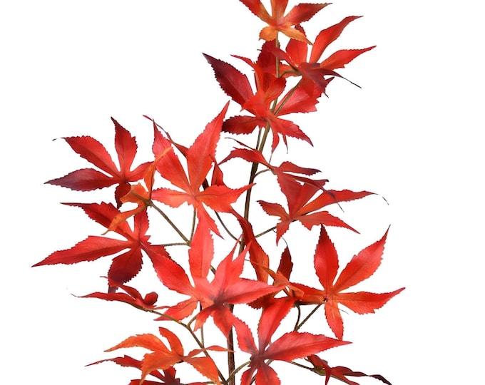 Orange Faux Japanese Maple Leaf Stems, Artificial Fall Maple Leaves, Realistic Autumn Branches-28"