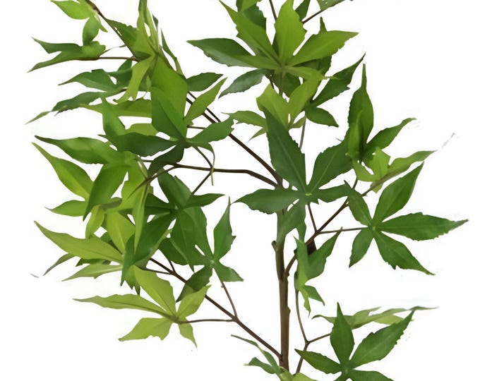 36" Faux Japanese Maple Leaf Spray, Faux Greenery Floral Stems, Vase Filler, Floral Supply-CHOOSE COLOR