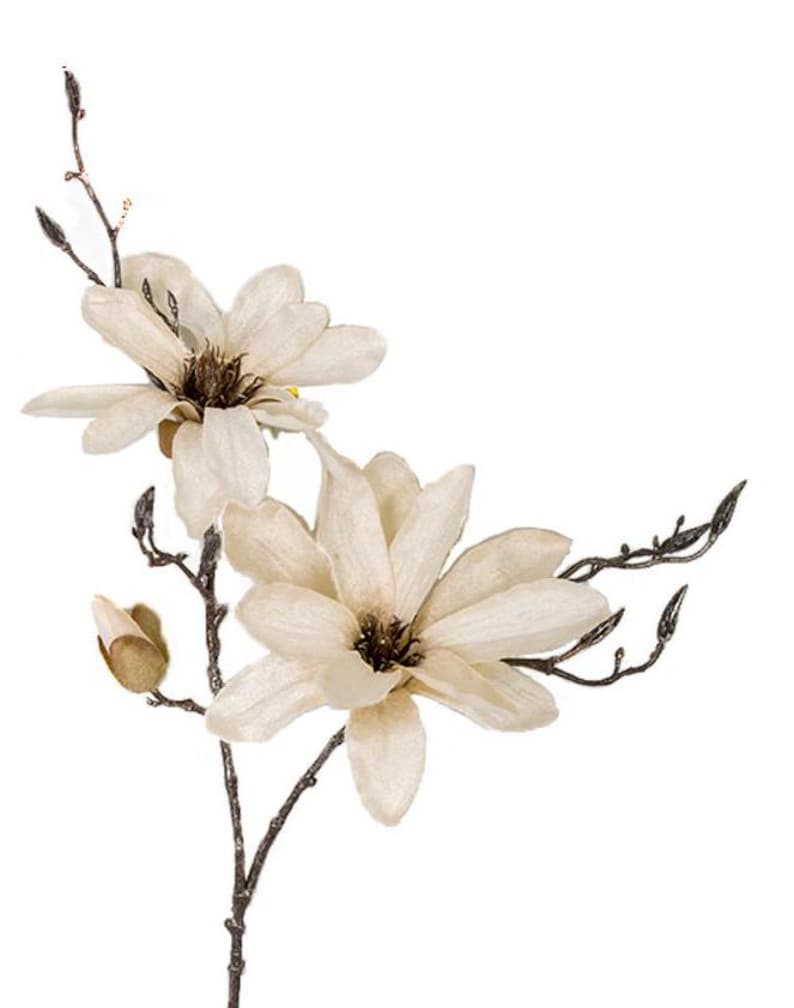 May include: A single stem of artificial magnolia flowers with two cream-colored blossoms and a brown stem.