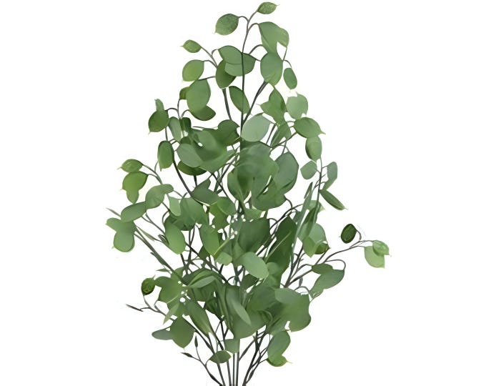 21" Artificial Money Plant