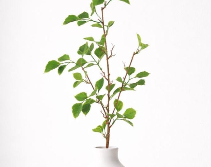 20" Birch Branch Stems, Outdoor Greenery, UV Resistant Planter Filler Porch Decor