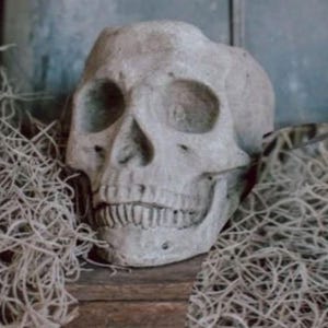 Cement Skull Planter for Halloween Party Decor - Choose Size