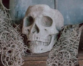 Cement Skull Planter for Halloween Party Decor - Choose Size