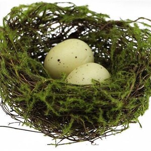 May include: Two white speckled eggs nestled in a brown twig nest lined with green moss.