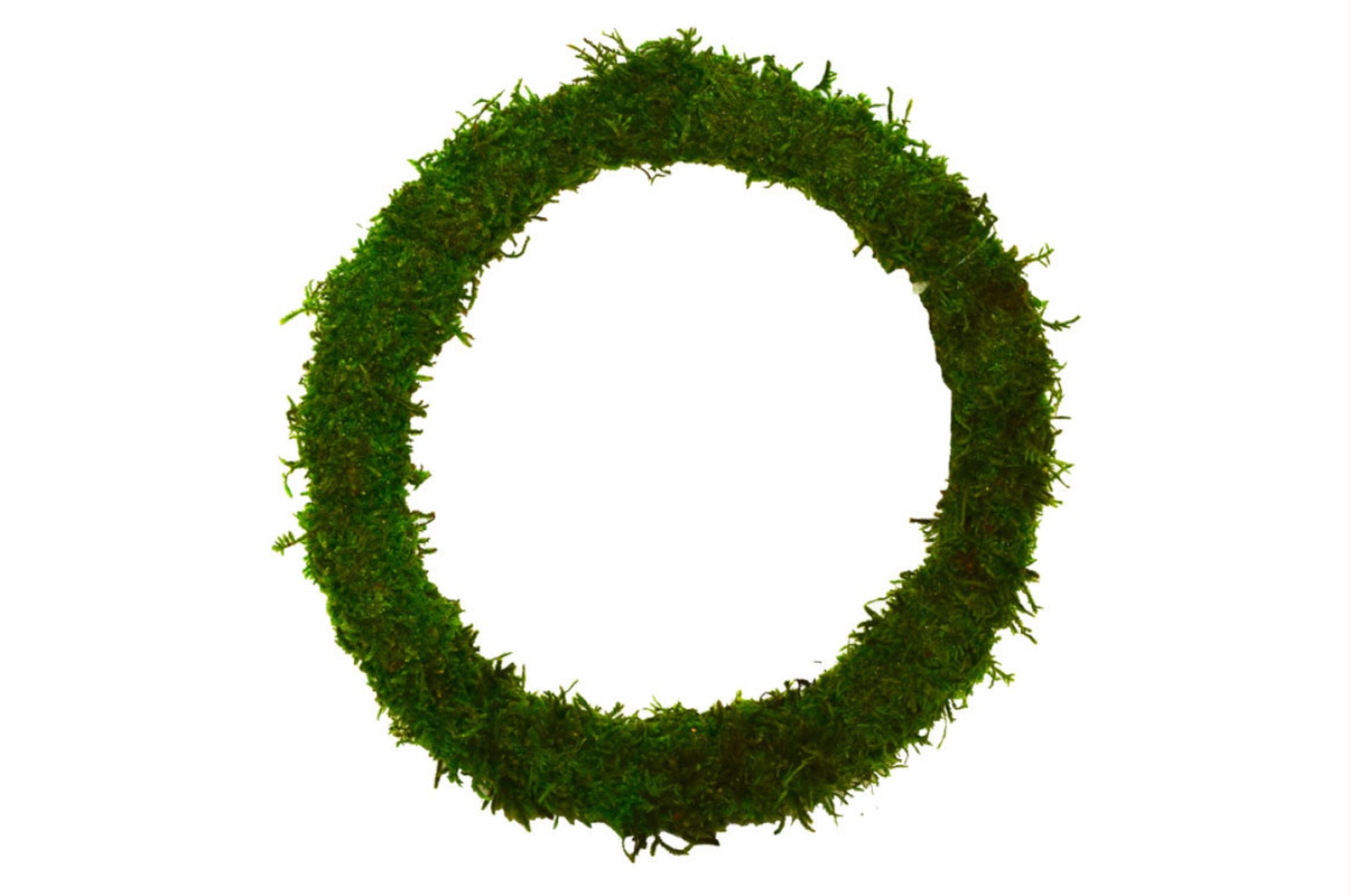 Moss Wreath Ringwreath Basewreath Formnatural Preserved Etsy