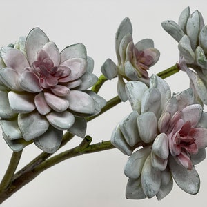 18&quot;L Faux Succulent Flower Spray on Stem with 4 Heads, Echeveria Succulent, Floral Supply
