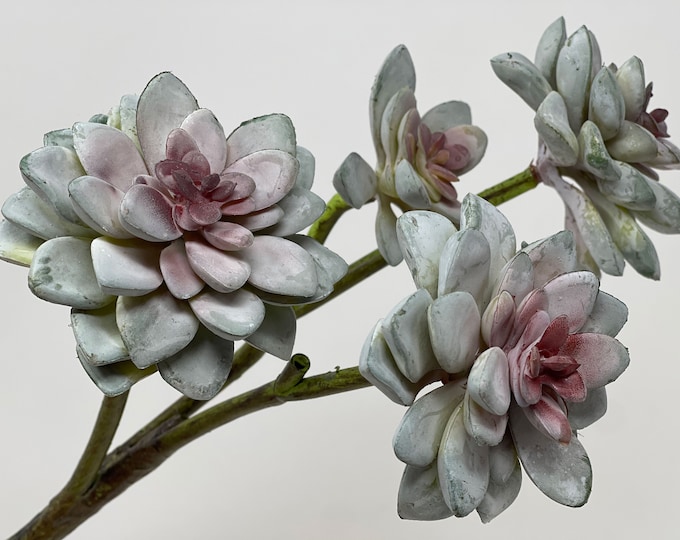18"L Faux Succulent Flower Spray on Stem with 4 Heads, Echeveria Succulent, Floral Supply