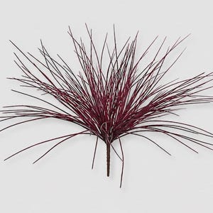 May include: A decorative artificial plant with long, thin, burgundy-colored stems radiating outwards from a central point. The stems have a dark, almost black, hue towards the tips. The plant is set against a plain white background.
