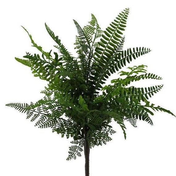 The Best Artificial Ferns for your Front Porch - Noting Grace