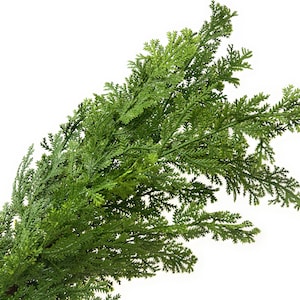Cedar Stems, Faux Cedar Branches, Christmas Stems, Cedar Spray, Faux Christmas Greenery, Winter Greenery Choose 19&quot; or 30&quot;