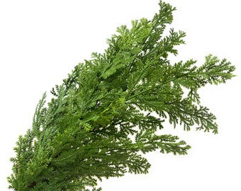 Cedar Stems, Faux Cedar Branches, Christmas Stems, Cedar Spray, Faux Christmas Greenery, Winter Greenery Choose 19&quot; or 30&quot;