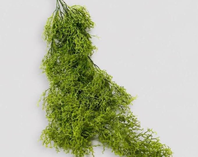 Artificial Light Green Lichen Moss Hanging Greenery Stem - 29"