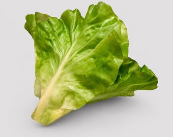 Cabeza de lechuga artificial de hoja grande para decoración de alimentos, escenografía de alimentos, suministros florales