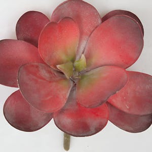 7.5&quot; Faux Succulent, Echeveria Succulent