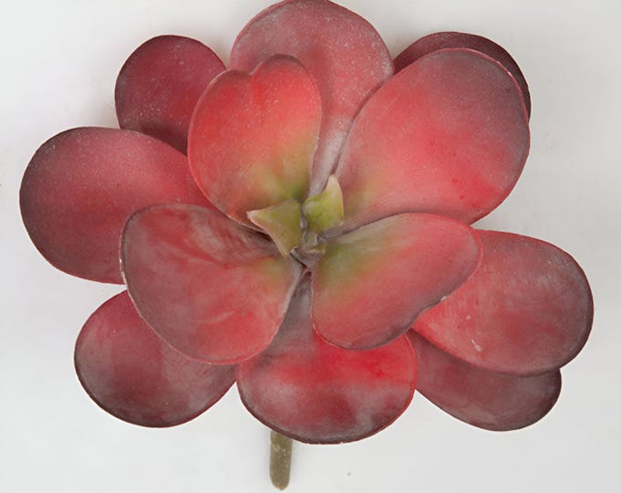 7.5" Faux Succulent, Echeveria Succulent