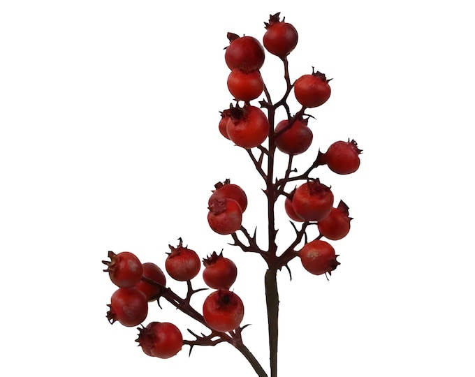 12" Crabapple Berry Spray, Valentines Day Stems