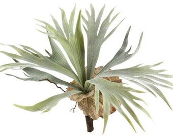 Artificial Staghorn Fern Plant-Air Fern-Fern Bush-Faux Airplant-Faux Air Plant-Vase Filler-Planter Filler-Floral Supply