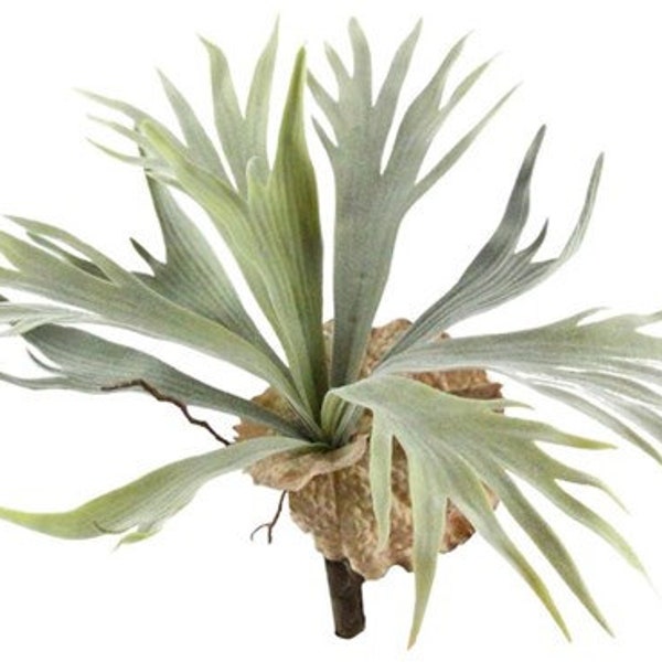 Artificial Staghorn Fern Plant-Air Fern-Fern Bush-Faux Airplant-Faux Air Plant-Vase Filler-Planter Filler-Floral Supply